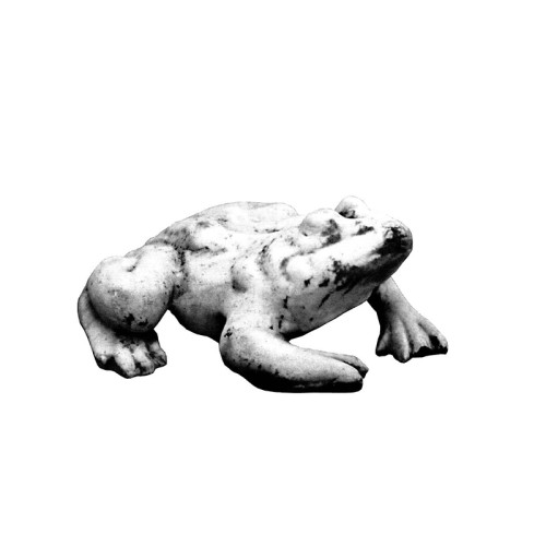 Жаба (304)